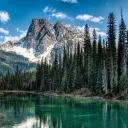 Feral Shadows 16+ Discord Server Icon