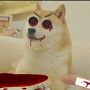 THE official r/dogelore Fanclub Discord Server Icon