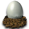 The Nest
