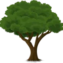 Généalogie