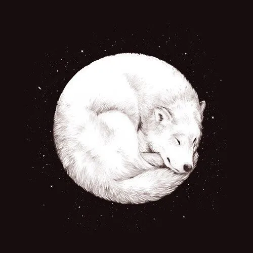 База! (DarkOn) — suivi du serveur Discord, statistiques et classement