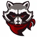 Racoon Nation