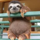 MrSlothman03