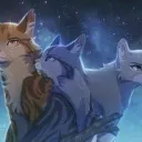 ~ 𝓦𝓪𝓻𝓻𝓲𝓸𝓻 𝓬𝓪𝓽𝓼 ~ ~ 𝓢𝓱𝓲𝓷𝓲𝓷𝓰 𝓼𝓽𝓪𝓻𝓼 ~