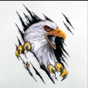 ⚡Ateş kara