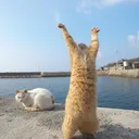 中卒ニートの部屋
