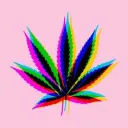 Hippies gangs