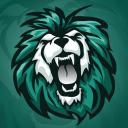 LionTeam