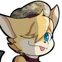 BattleFennec's Server