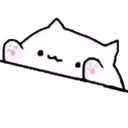 BONGOCATS