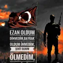 Bozkurt TR