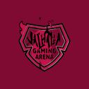 Valhalla Gaming Arena icon