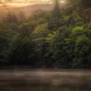 Warrior Cats: Darkness Rises
