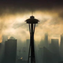 Emerald City Nights