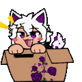 The Box