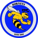 Team Hornet