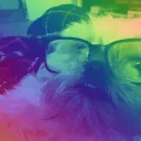 Cookie & Lilah's Lounge
