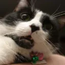 BruhMoment