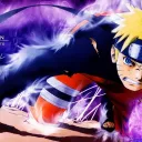 Ninja World