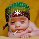 The Stoned One