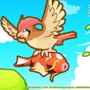 Pidgeotto's pond