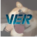 Velocity Endurance Racing