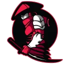 Gaijin eSports