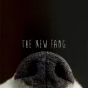 The New Fang
