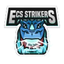 ECS Strikers