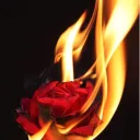 blaze clan