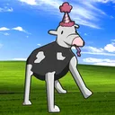 koeie