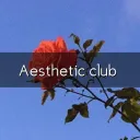 Ａｅｓｔｈｅｔｉｃ　ｃｌｕｂ