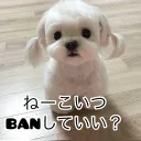 ぽちわーるど跡地