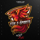 F3X E-SPORTS icon