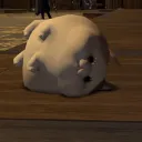 FF14 P