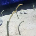 つづりの世界