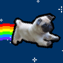 Dougthepug