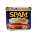 spamacademy.com
