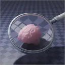 Brainlet Brigade