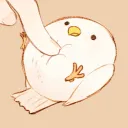 Just A Nice Server