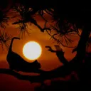 Clans of Dawn and Dusk
