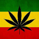 weezer sucks Discord server icon