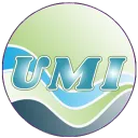 UMI token