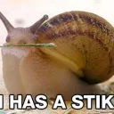 snail gang