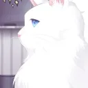 Elizabeth The 3rd Fanclub