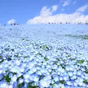 エレウシスの秘儀