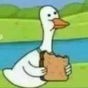 GRUPO DAS POC