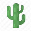 Cactus support server