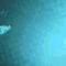 Noymless's Projects icon
