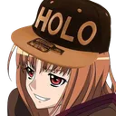 Holofan4life's place
